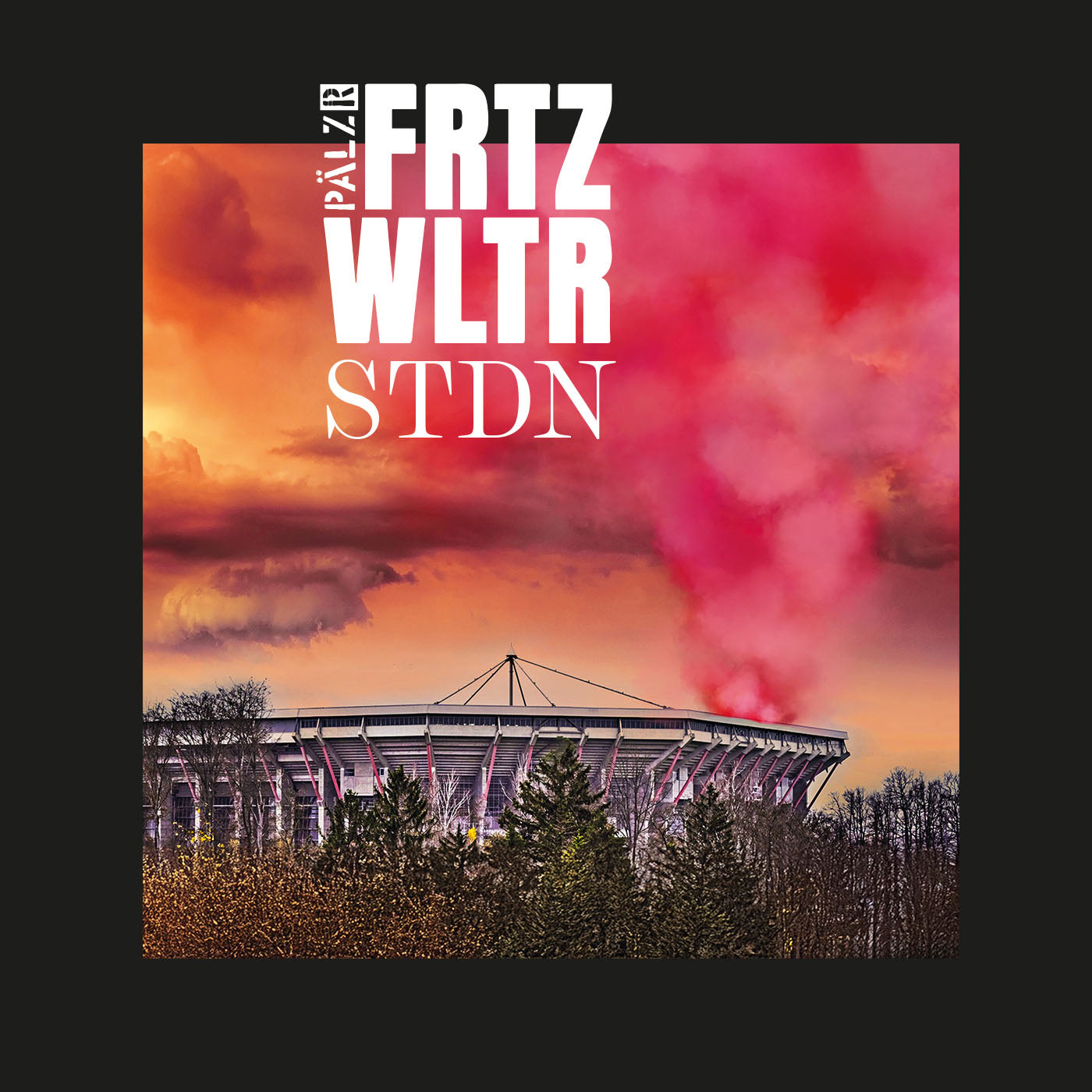 Männer T-Shirt | FRTZ WLTR STDN | schwarz