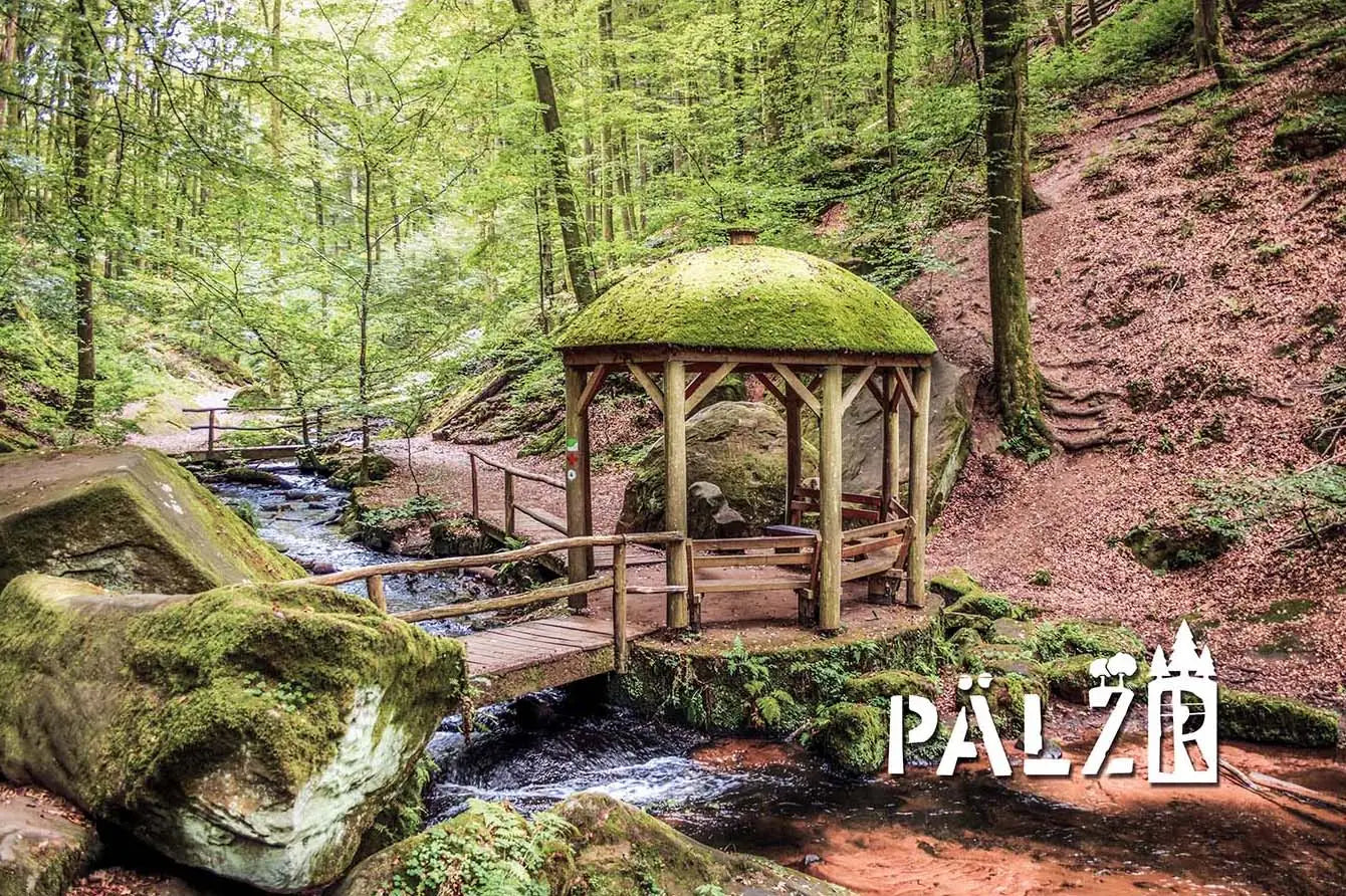 🌟 Meine Top 3 Ausflugsziele in der Pfalz – Natur Aussicht & Wow-Momente