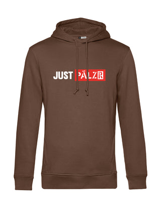 Männer Hoodie | JUST PÄLZR | verschiedene Farben