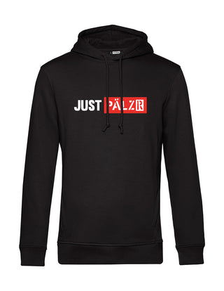 Men Hoodie | FRTZ WLTR | black 