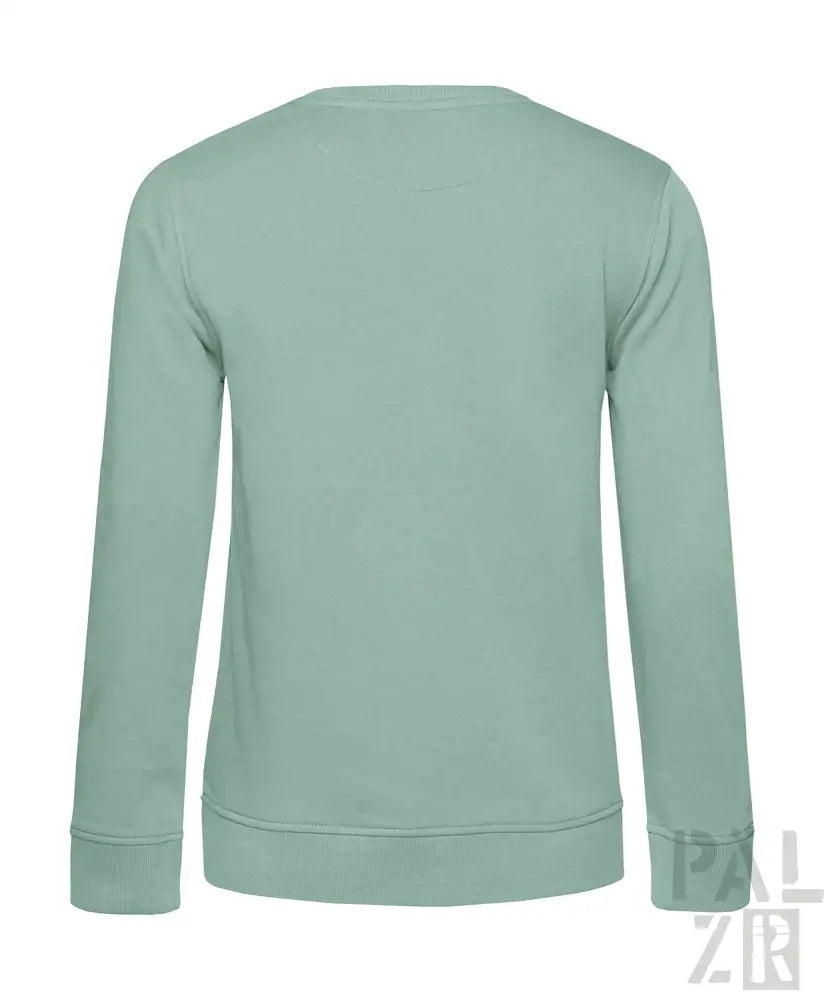 Minzgrüner Rundhals-Sweatshirt mit gerippten Bündchen und Saum, aus weichem Baumwollstoff.