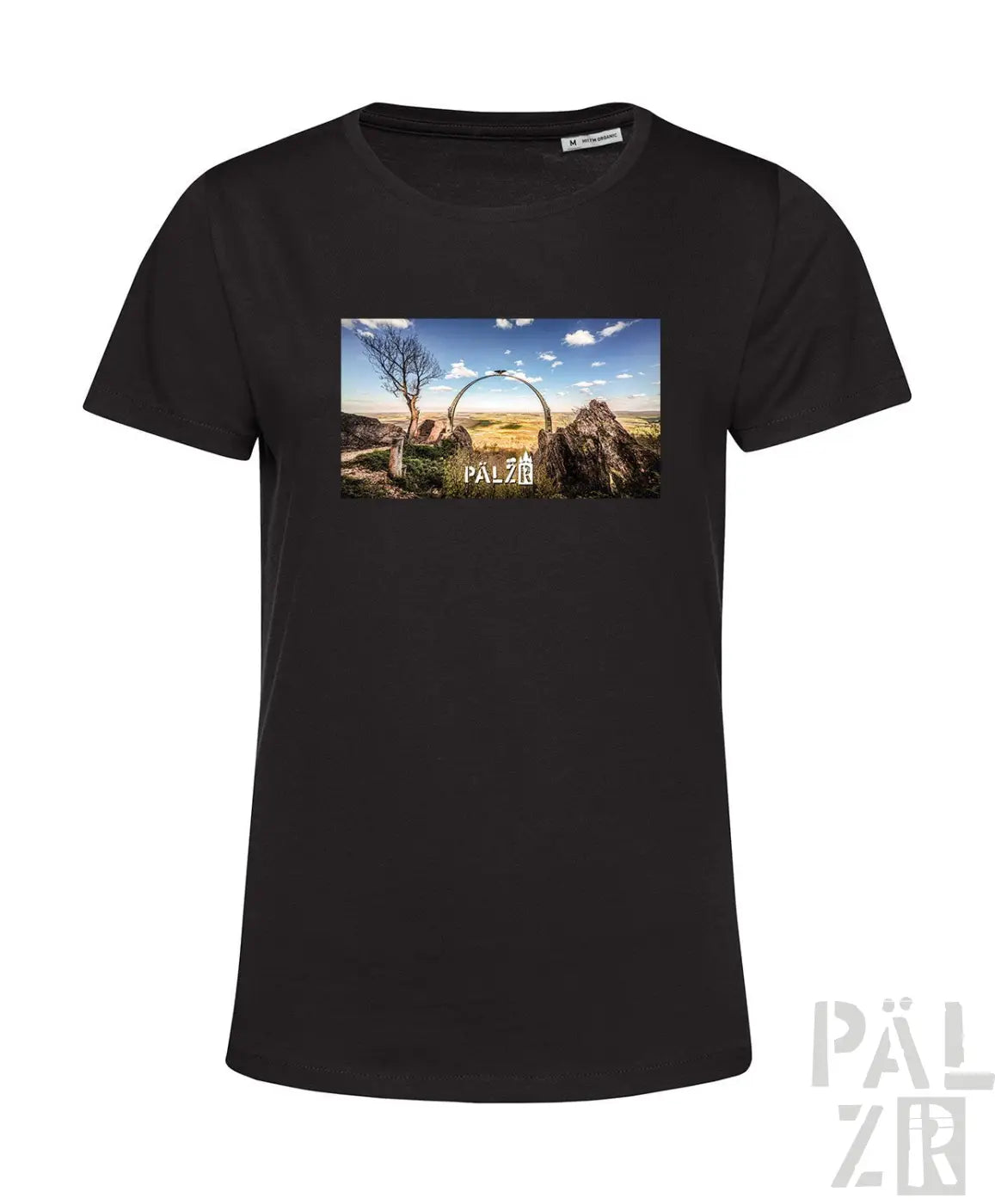 Schwarzes T-Shirt mit bedrucktem Wüstenlandschaftsdesign, das natürliche Töne und einen gebogenen Torbogen aufweist.