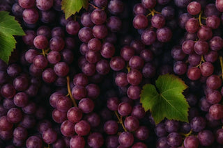 Frische rote Trauben am Weinstock mit grünen Blättern.