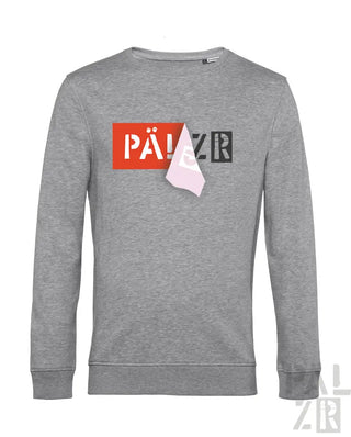 Grauer gemusterter Sweatshirt mit ’pa!zr’ Grafikdesign und gefaltetem Papierdetail.