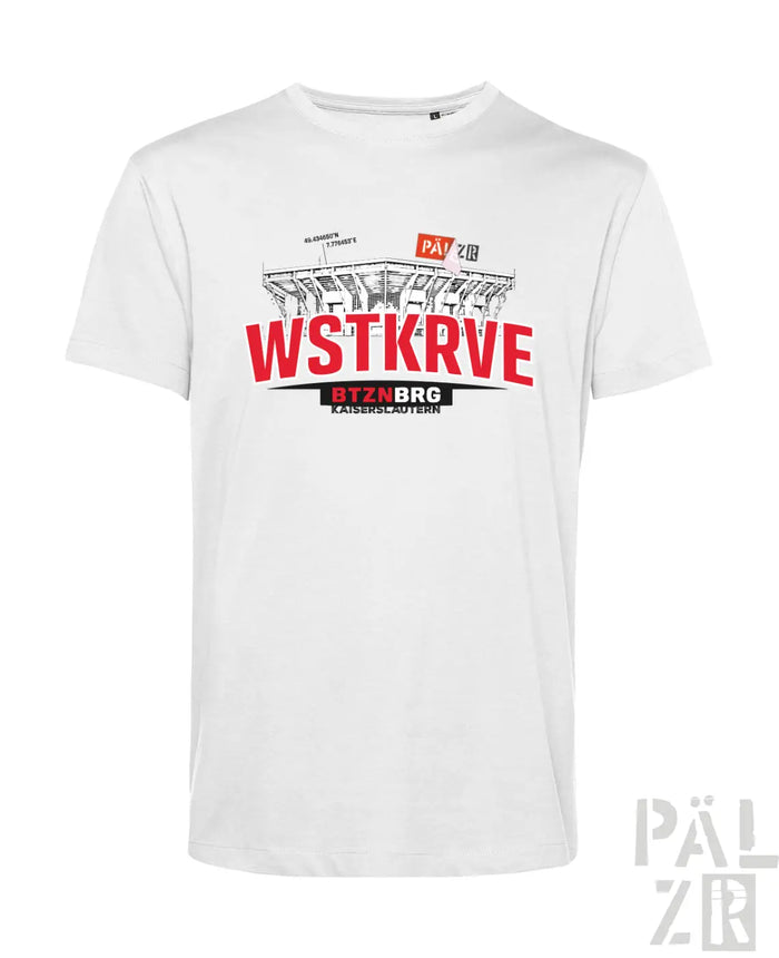 Men | T-shirt | WSTKRVE | different colors