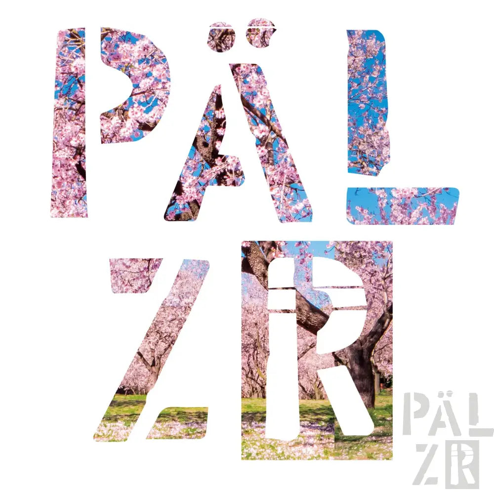 Poster mit pinkem Kirschblütenbaum