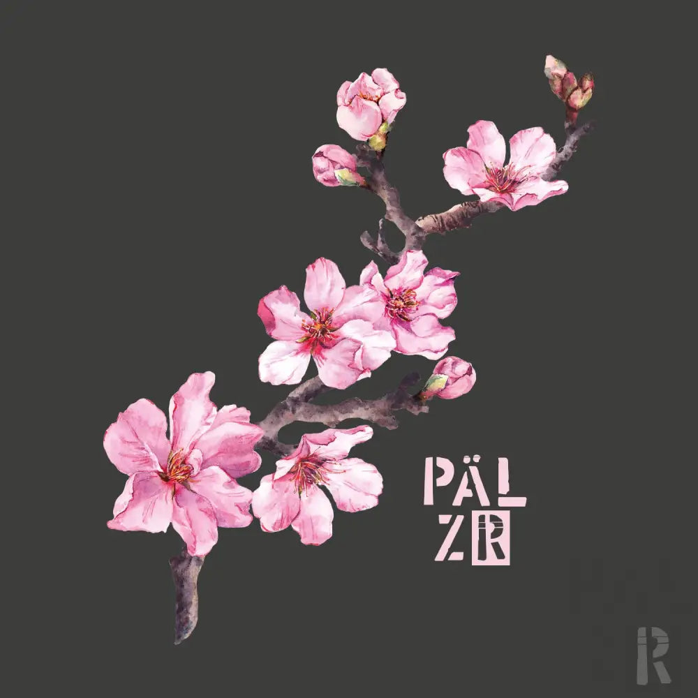 Rosa Kirschblütenzweig mit weißen Zentren, dunklen braunen Ästen und Knospen.