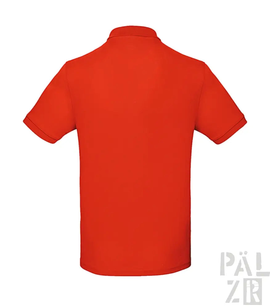 Rotes Poloshirt mit kurzen Ärmeln und Kragen, aus Baumwolle.