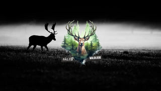 Zwei Hirsche, einer eine Silhouette und der andere ein detailliertes Porträt, in einer natürlichen Umgebung.